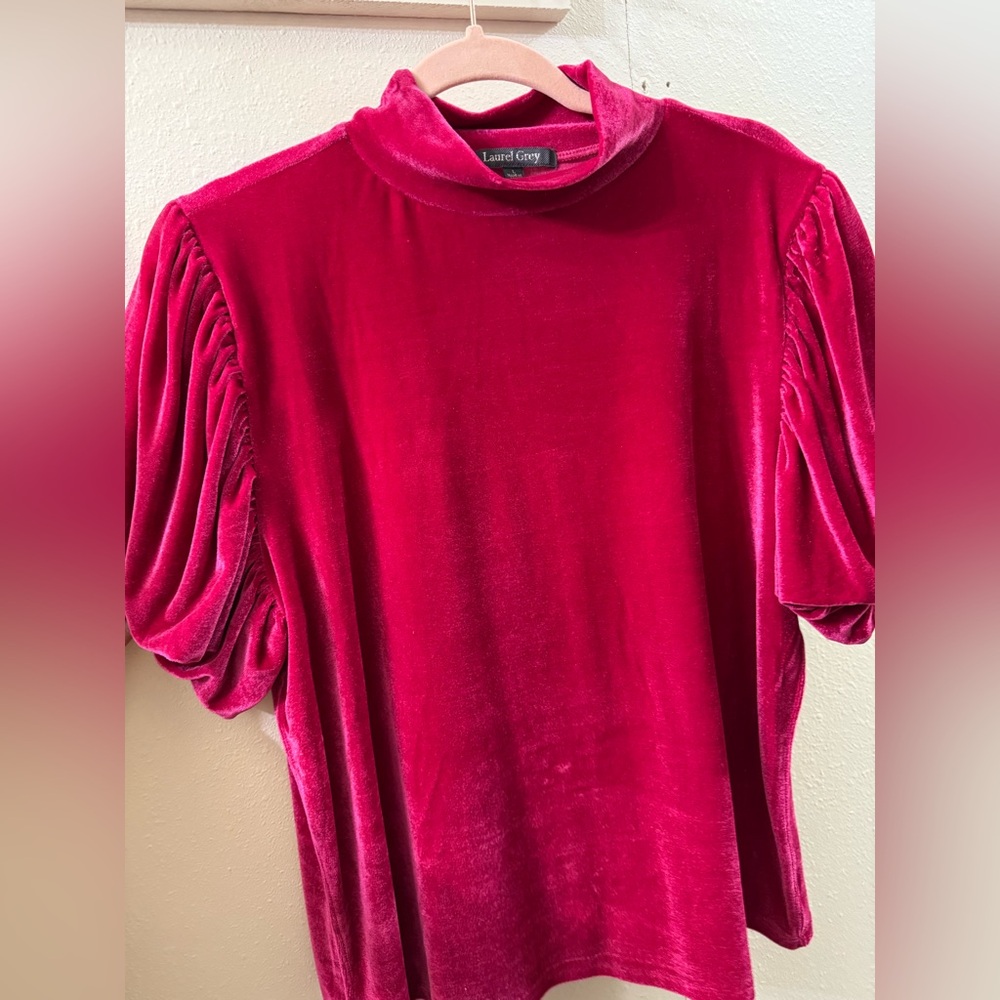 Women's Pink Velvet Top